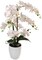 25" Luxurious Phalaenopsis Orchid - Elegant Silk Flower for Home Decor Accents, Floral Home by Artificial Flowers